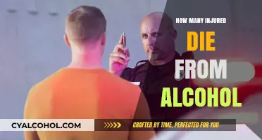 Alcohol-Related Injuries: Fatal Consequences and Preventable Deaths Explored