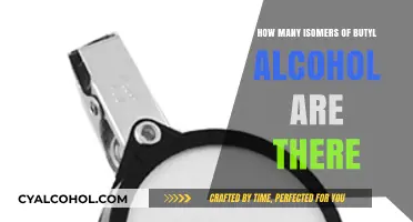Exploring the Diverse Isomers of Butyl Alcohol: A Comprehensive Guide