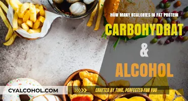 Caloric Breakdown: Fat, Protein, Carbs, and Alcohol Explained
