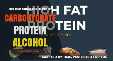 Fat, Carb, Protein, and Alcohol: Calorie Breakdown