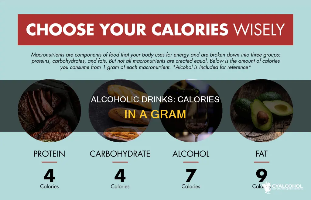 how many kilocalories are in one gram of alcohol