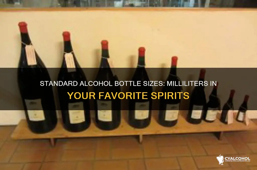 how many milliters is a bottle of alcohol