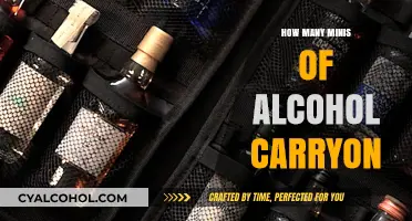 Traveling Light: How Many Mini Alcohol Bottles Can You Carry On?