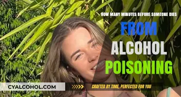 Fatal Alcohol Poisoning: Minutes to Death and Warning Signs