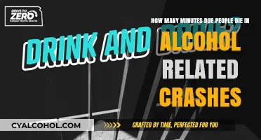 Fatal Alcohol-Related Crashes: Minutes of Death