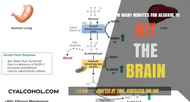 Alcohol's Fast Track to the Brain