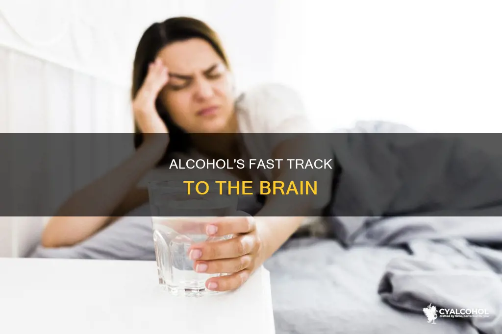 how many minutes for alcohol to hit the brain