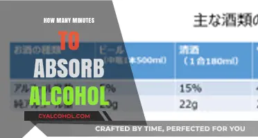 Understanding Alcohol Absorption: How Long Does Your Body Take?