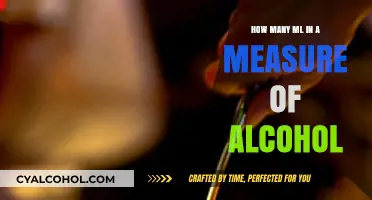 Understanding Alcohol Measurements: How Many ML in a Standard Pour?