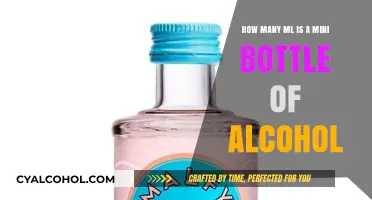 Mini Alcohol Bottles: How Many Milliliters?