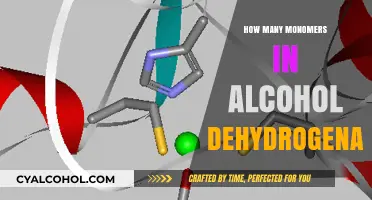 Understanding the Monomer Composition of Alcohol Dehydrogenase Structure