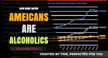 Understanding Alcoholism Rates Among Native American Communities Today