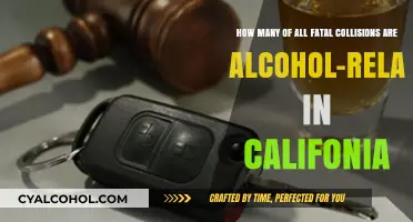 Alcohol-Related Fatal Collisions in California: A Sobering Reality