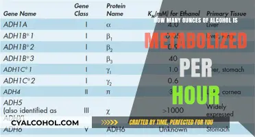 Alcohol Metabolism: How Fast Does Your Body Process It?
