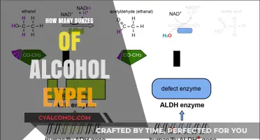 Understanding Alcohol Metabolism: How Many Ounces Does Your Body Expels?