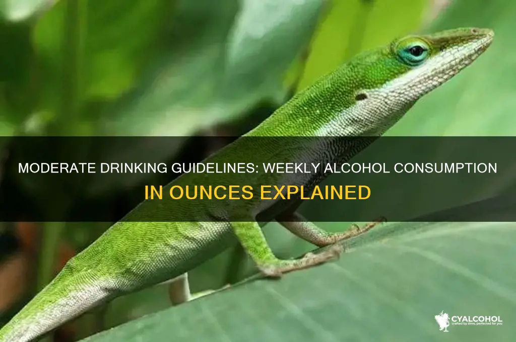 how many oz alcohol per week