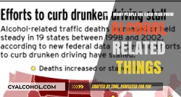 Alcohol-Related Deaths: A Preventable Tragedy