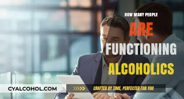 Functioning Alcoholics: Uncovering the Hidden Struggles of High-Achieving Drinkers