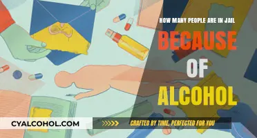 Alcohol-Related Imprisonment: How Many Are Behind Bars?