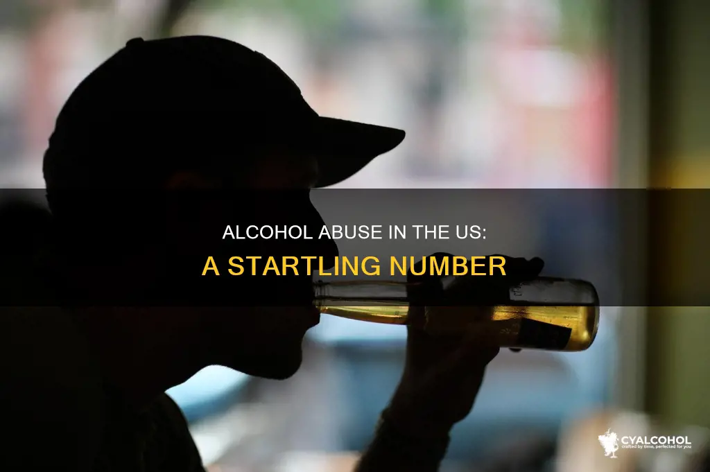 how many people are in the us are alcohol abusers