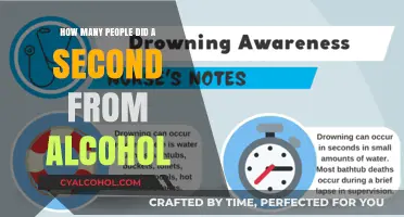 Shocking Alcohol Statistics: How Many Lives Are Lost Every Second?