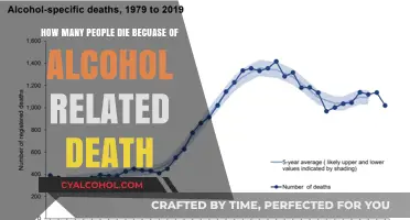 Alcohol-Related Deaths: A Preventable Tragedy