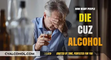 Alcohol-Related Deaths: Understanding the Global Impact and Consequences