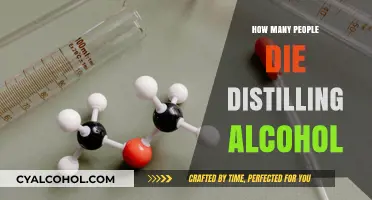 Deadly Distillation: Uncovering the Fatal Risks of Homemade Alcohol Production