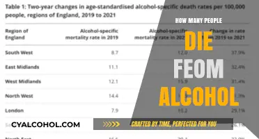 Alcohol-Related Deaths: Understanding the Global Impact and Alarming Statistics