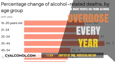 Alcohol Overdose: A Preventable Death Toll