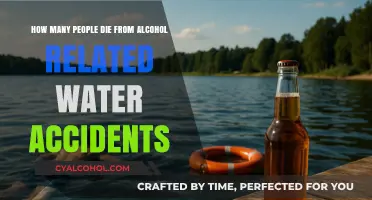 Alcohol-Related Water Accidents: A Preventable Death Toll