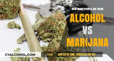 Alcohol vs. Marijuana: Comparing Fatality Rates and Health Impacts