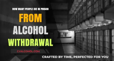 Prison Alcohol Withdrawal: A Deadly Reality