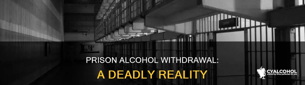 how many people die in prison from alcohol withdrawal