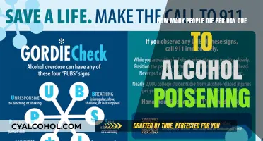 Alcohol Poisoning: Daily Death Toll From Alcohol Abuse