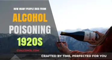 Deadly Prohibition Era: Alcohol Poisoning Fatalities in the 1920s