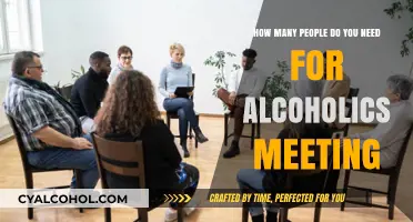 Effective Alcoholics Meetings: Group Size Matters