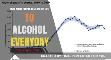 Alcohol's Daily Death Toll: A Sobering Reality