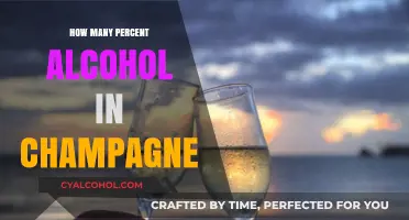 Champagne Alcohol Content: Unveiling the Percentage in Your Bubbly