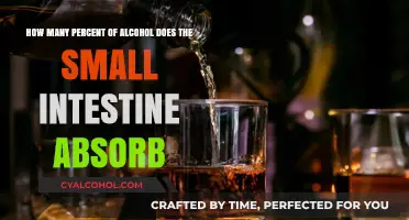 Alcohol Absorption in the Small Intestine: How Much?