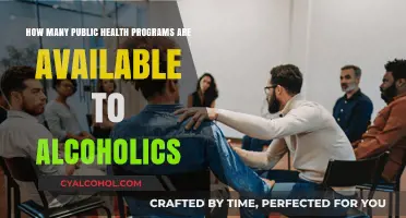 Public Health Support for Alcoholics: What Programs Exist?