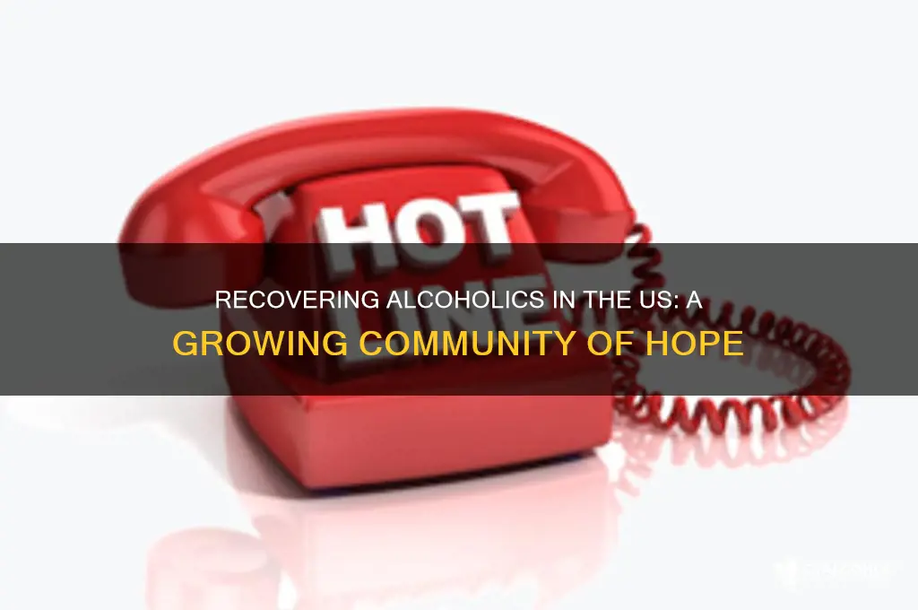 how many recovering alcoholics in us