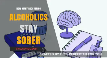 Sober Success: Understanding Long-Term Sobriety Rates for Recovering Alcoholics