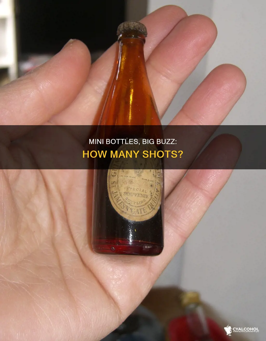 how many shots are in a mini bottle of alcohol