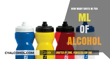 Understanding Alcohol Measurements: Shots in a 750ml Bottle Explained