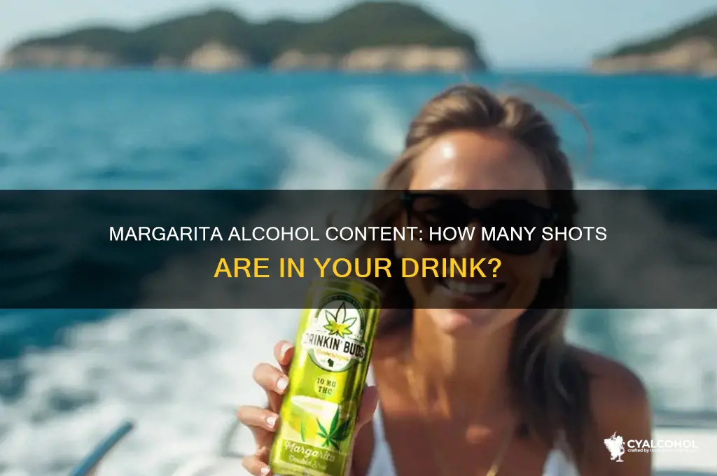 how many shots of alcohol in a margarita
