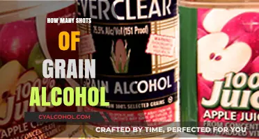 Understanding Safe Consumption: How Many Shots of Grain Alcohol?