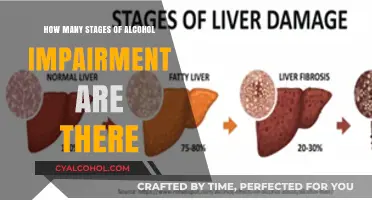 Understanding Alcohol Impairment: Exploring the Stages of Intoxication