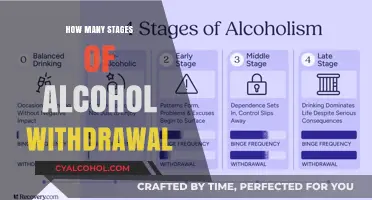 Understanding Alcohol Withdrawal: Stages, Symptoms, and Recovery Timeline