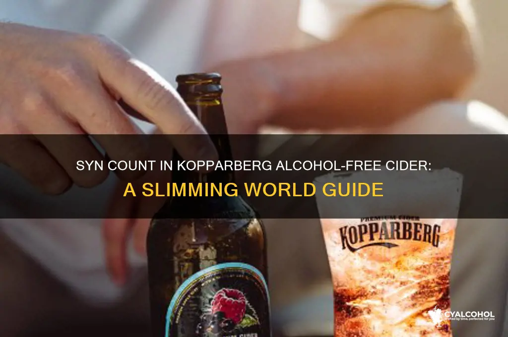 how many syns in kopparberg alcohol free cider